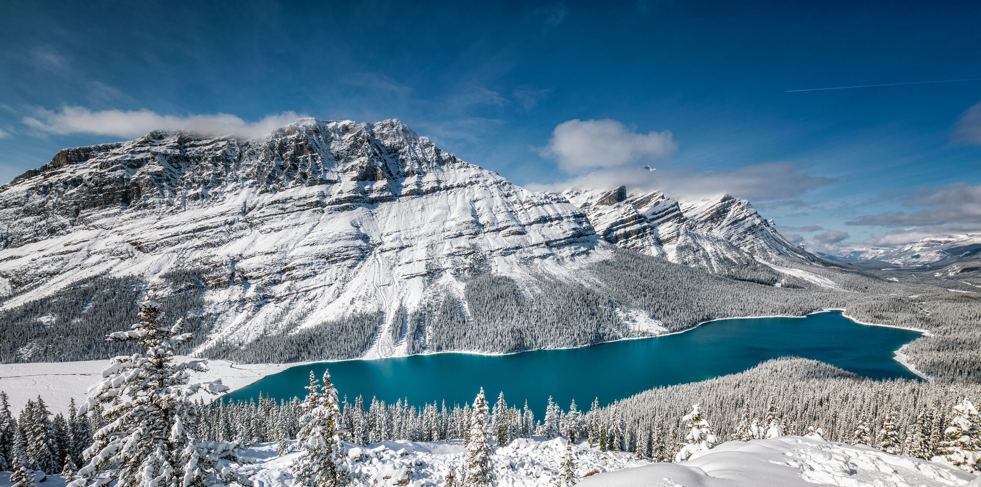Winter Snowtrain to the Canadian Rockies